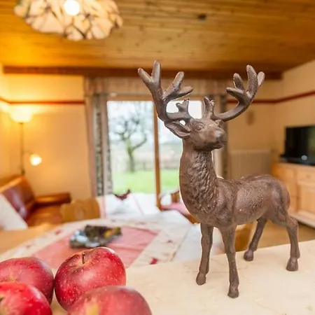 Alojamento de Turismo Rural Berghof Kopp Drachselsried